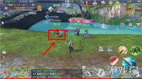 救援可爱的洋葱