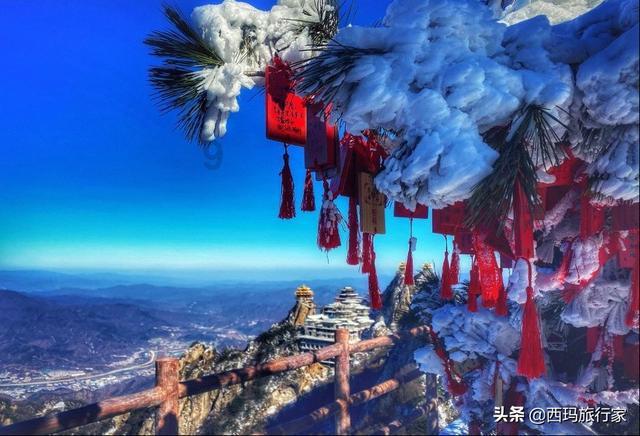 白色情人节：校园迷宫